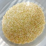 玄米から発芽玄米にする方法